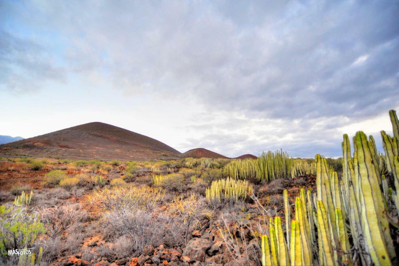 Naturaleza Viva El Socorro Extérieur photo