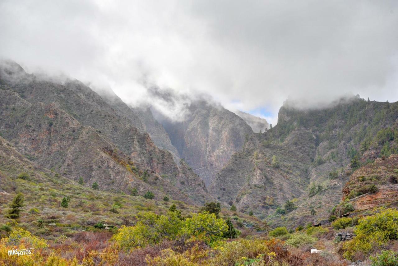 Naturaleza Viva El Socorro Extérieur photo